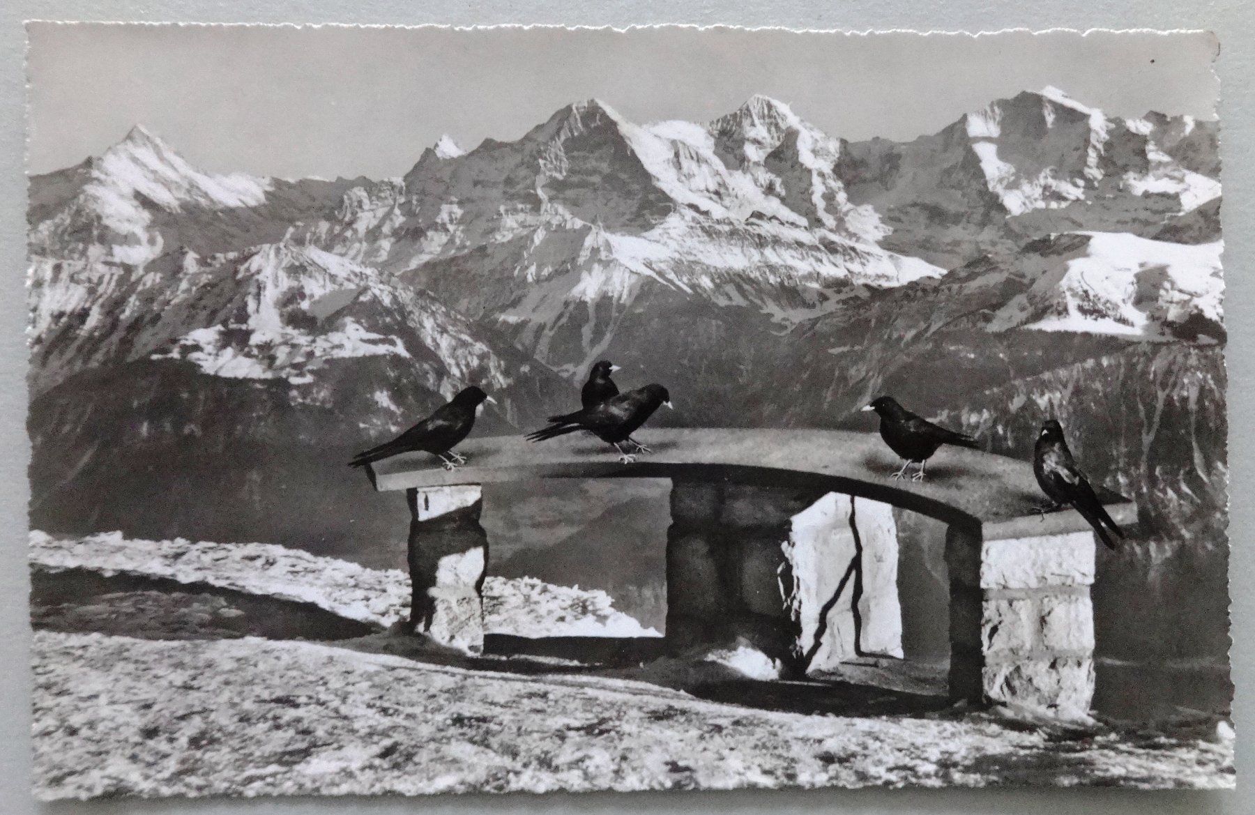 Cartoline postali: Beatenberg, Niederhorn 1950 m ü.M. – Usato da Fétigny venduto da Billy2miny