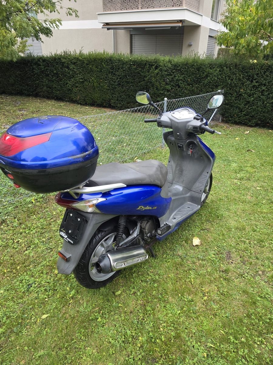 Honda Scooter: HONDA DYLAN 125 CC – Usato da Winterthur venduto da Fabio_46 4
