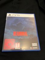 Reaminal PS5