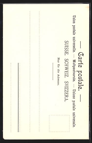 Cartoline postali: AK Montreux, Vue Générale – Usato da Berlin venduto da bartko-reher 1