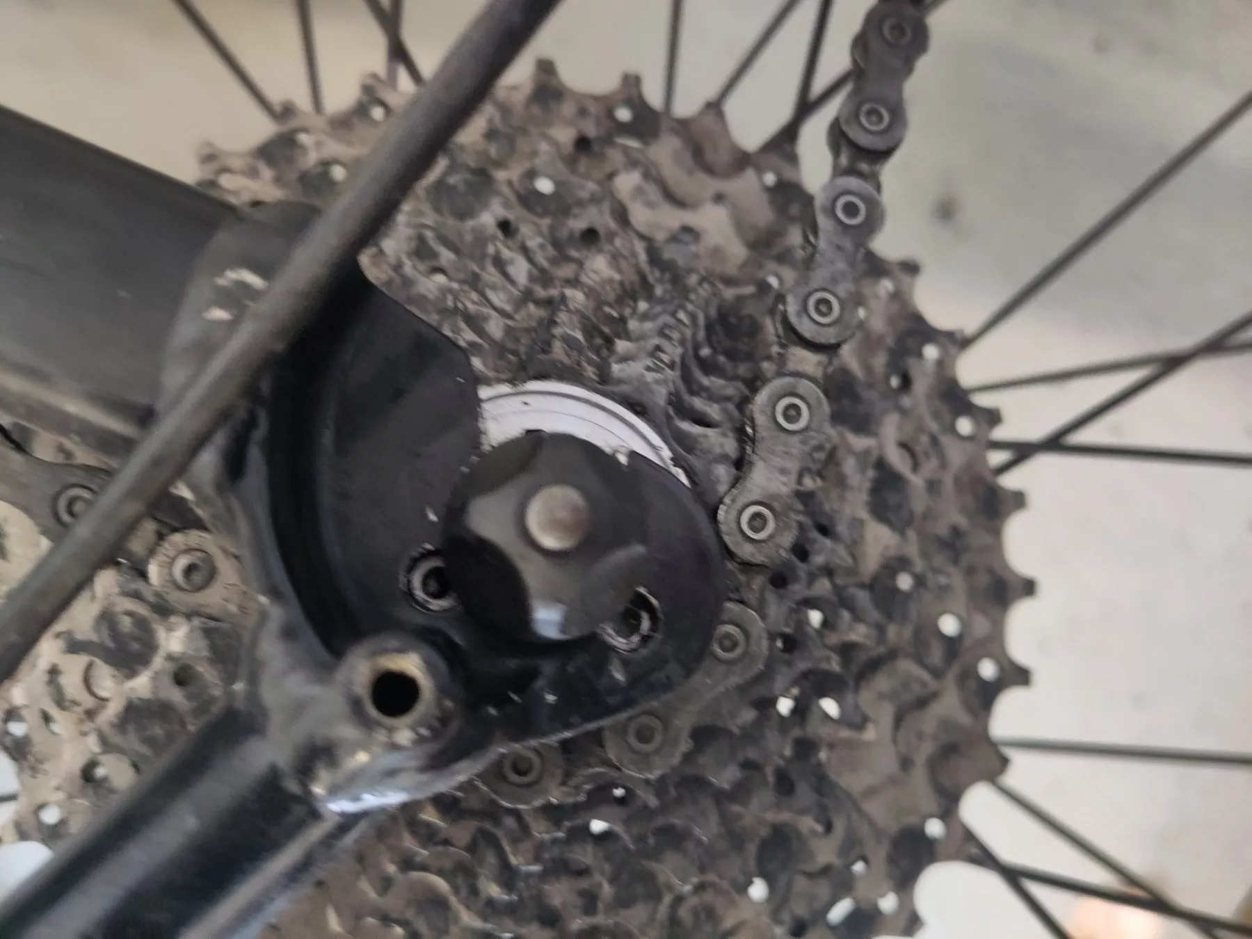 Biciclette: MTB Centurion Ultimate Backfire 1.29 – Difettoso da Lenggenwil venduto da OmeRion 8