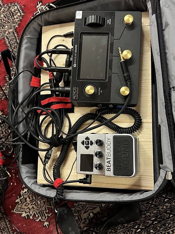Strumenti musicali: Singular Sound AEROS Loop Studio Gold Edition + BeatBuddy – Usato da Rhäzüns venduto da Strauchklauer 1