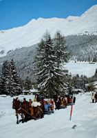 LENZERHEIDE VALBELLA Pferdeschlittenfahrt
