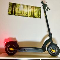 cooler starker E- Scooter 48v / max. 800W , E- Trotti