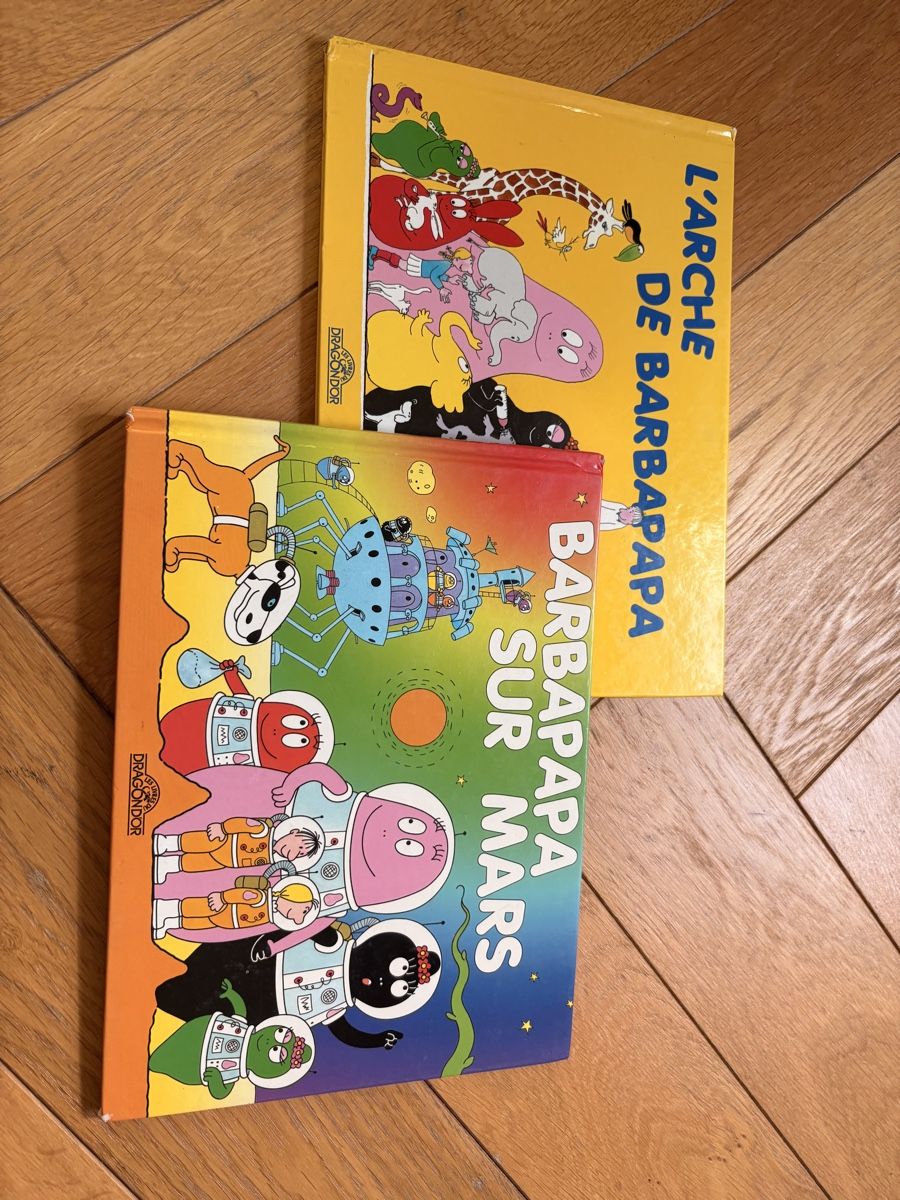 Libri: Lot de 2 Livres barbapapa – Usato da Vésenaz venduto da gau_v6pf