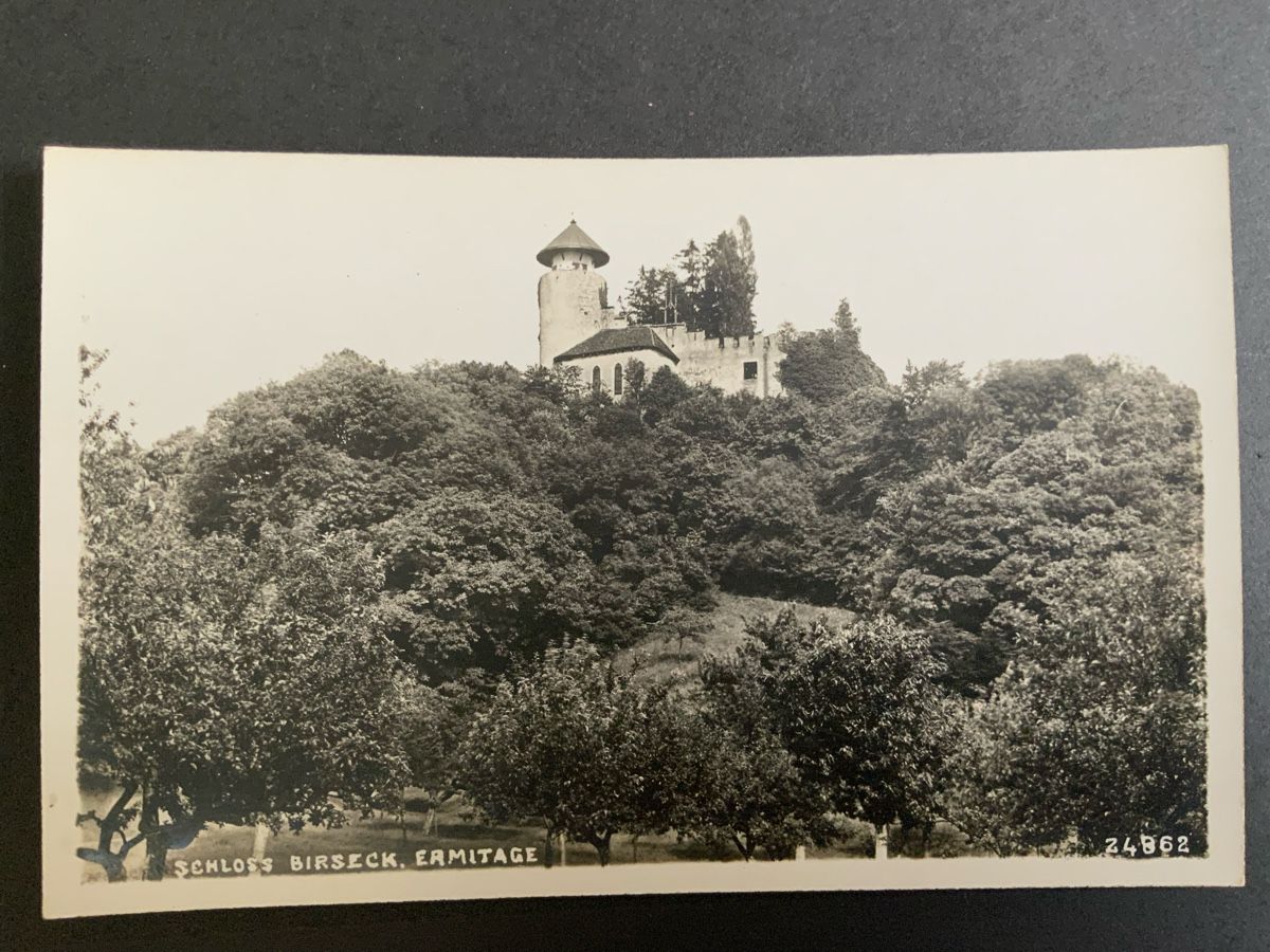 Cartoline postali: Ansichtskarte Schloss Birseck Ermitage schwarzweiss – Nuovo (secondo la descrizione) da Binningen venduto da chr_cr5n