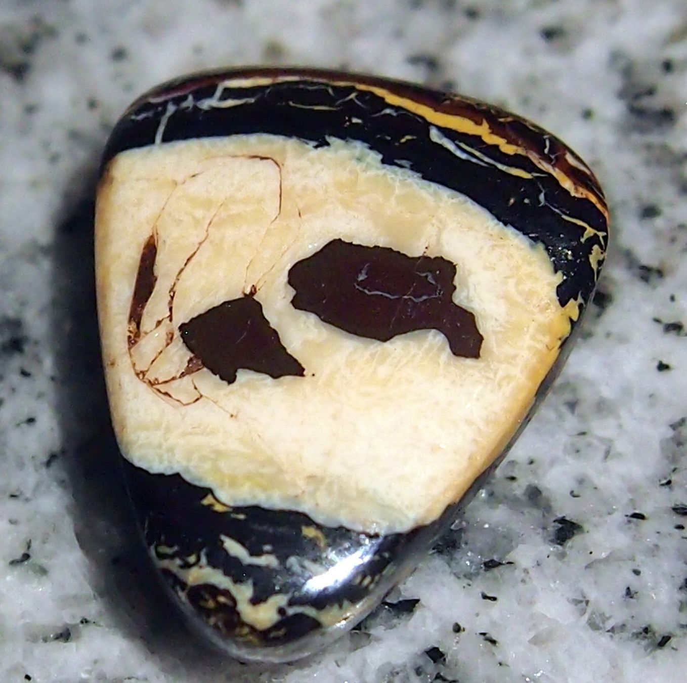 Pietre preziose: 27 CRT. KOROIT OPAL, schönste Muster! AAA – Nuovo e nell'imballaggio originale da Reinach BL venduto da Marcopal 3
