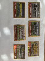Panini FWC 