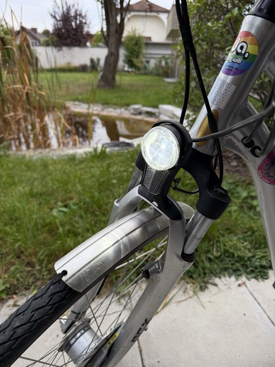 Flyer Biciclette: E-Bike Flyer  – Usato da Langenthal venduto da Nina_Leonie 6