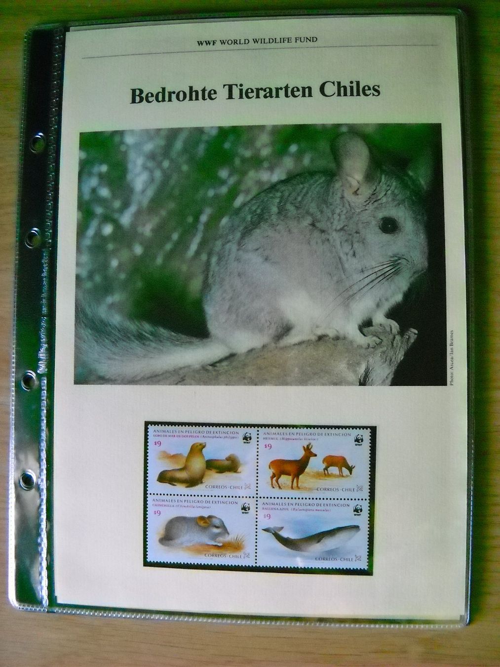 Tutti i francobolli: WWF Bedrohte Tierarten Chiles Dokument mit Briefmarken – Nuovo (secondo la descrizione) da Boningen venduto da FrediP