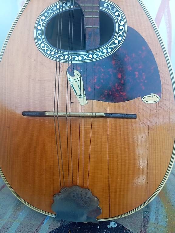 Musikinstrumente: Mandoline Carmelo Catania 1967 – Gebraucht aus Basel von Petergunn 3