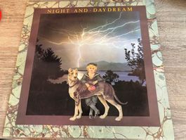 Night And Daydream