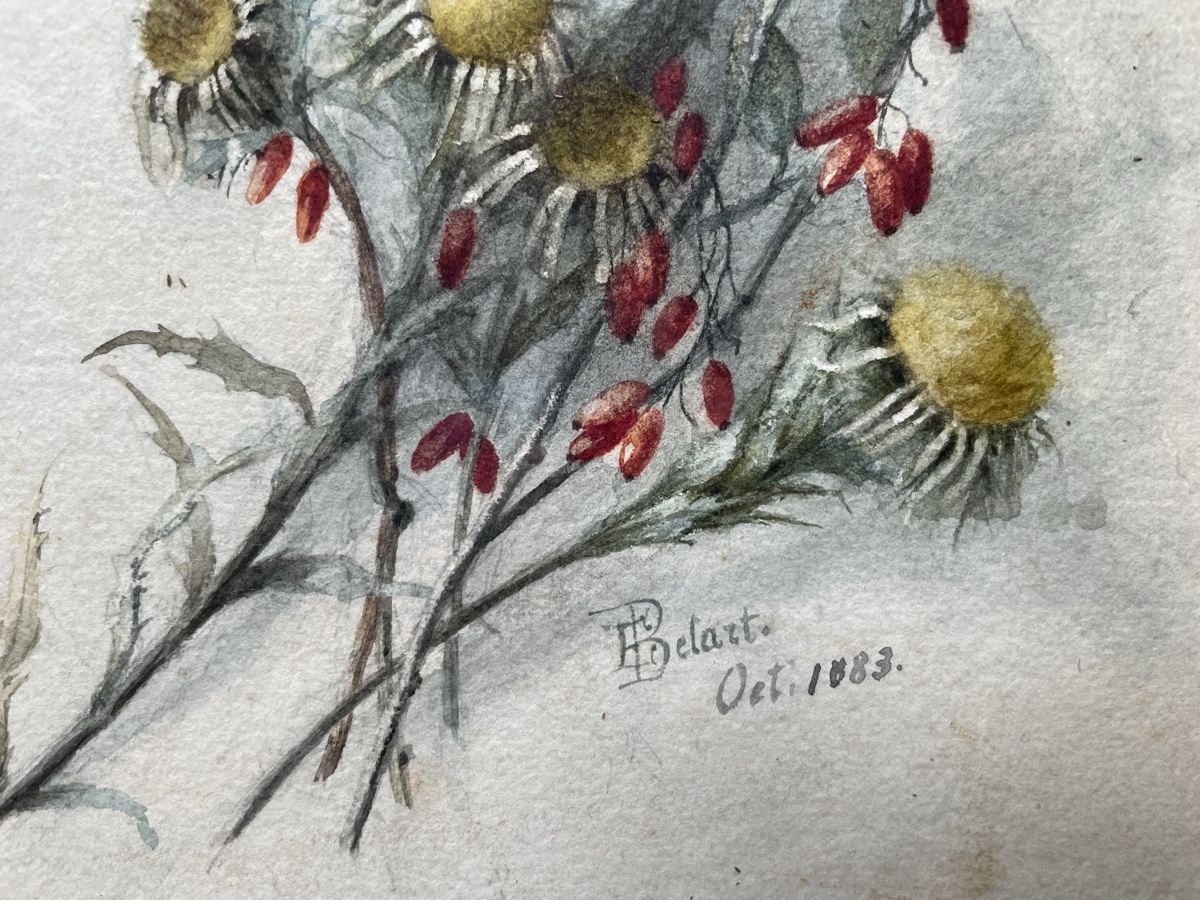 Dipinti: Emmy Belart Aquarell Blumen – Usato da Biel/Bienne venduto da Galaq 2