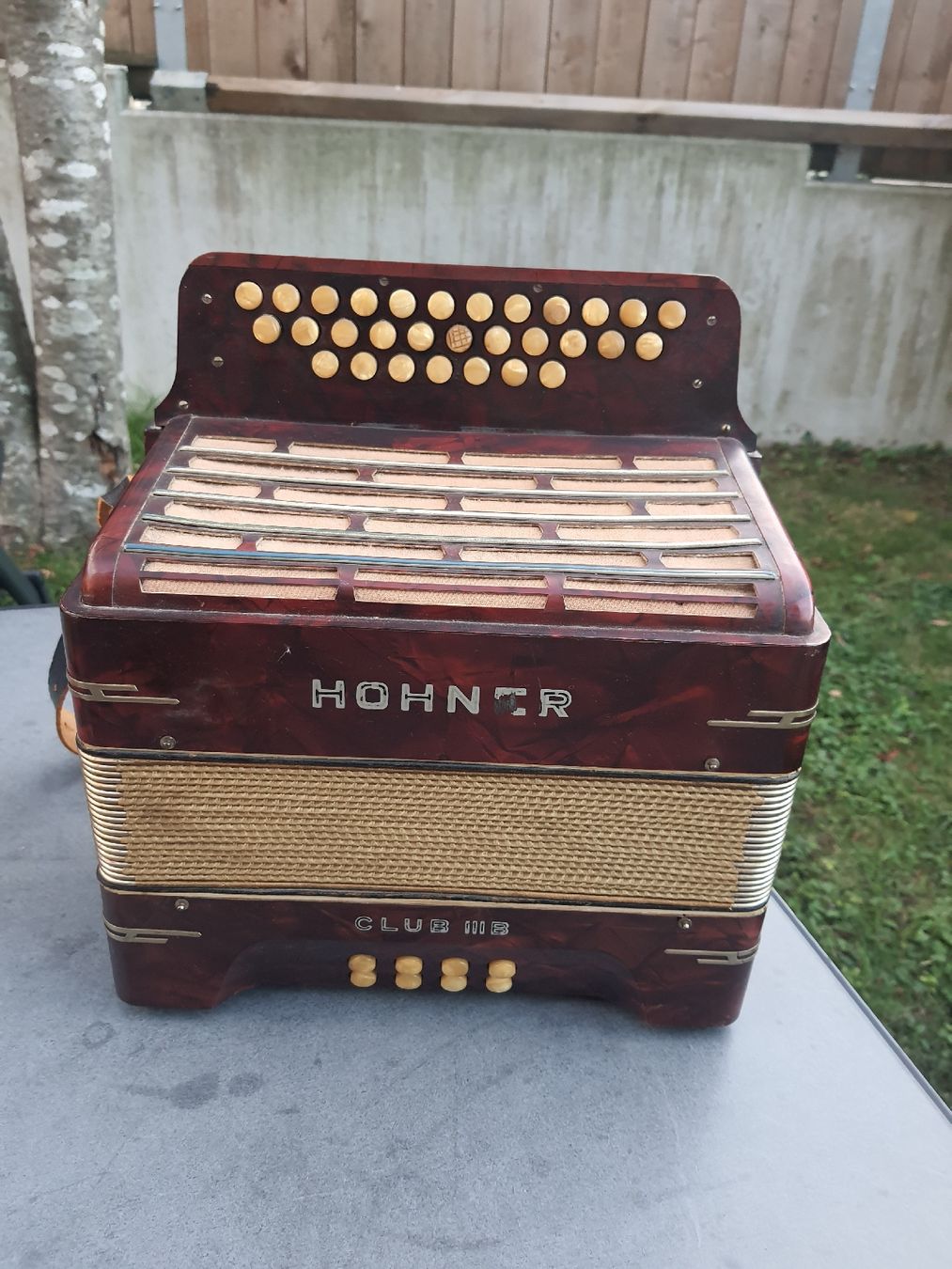 Hohner Strumenti musicali: accordéon hohner norma diatonique  – Usato da Pont-de-la-Morge venduto da Mirabelle0