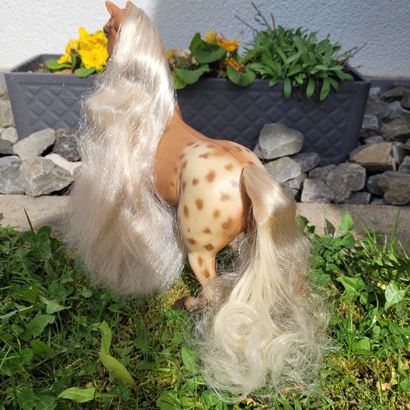 Giocattoli: Barbie Pferd Hengst Aslan Repaint Unikat – Usato da Niederbuchsiten venduto da klengyel 3