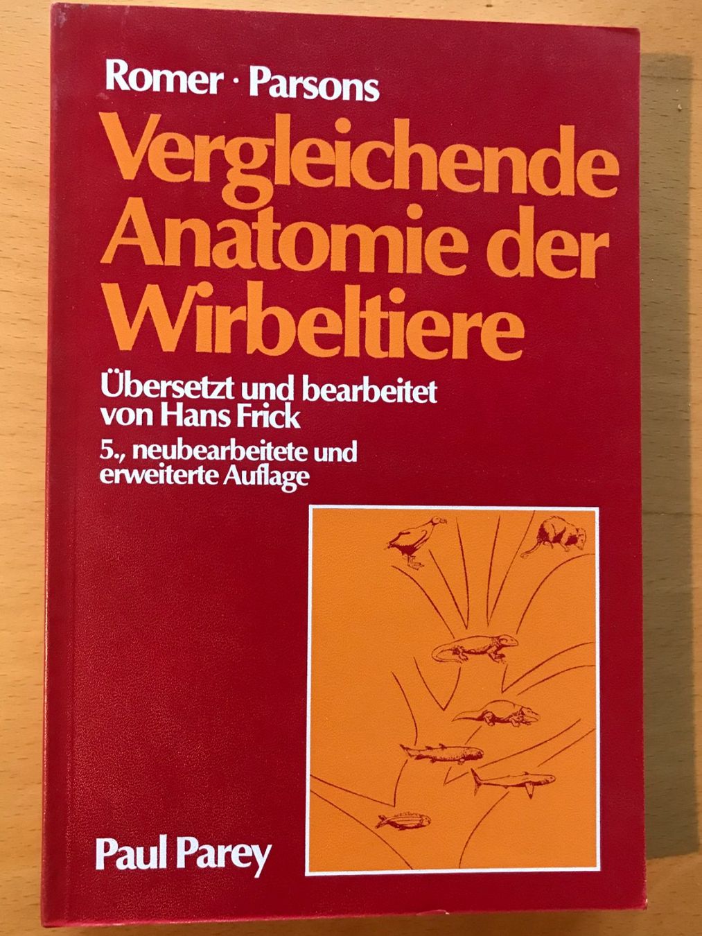 Libri: Vergleichende Anatomie der Wirbeltiere – Usato da Luzern venduto da mey_s13
