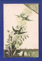 OISEAU - Hirondelles - Carte gauffrée
