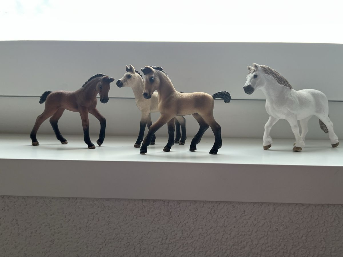 Schleich Giocattoli: Schleich Pferdefohlen & Pferd – Usato da Pfäffikon ZH venduto da mal_xs7b