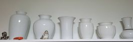 Kostbare Blumen-Vasen-Sammlung  12 St