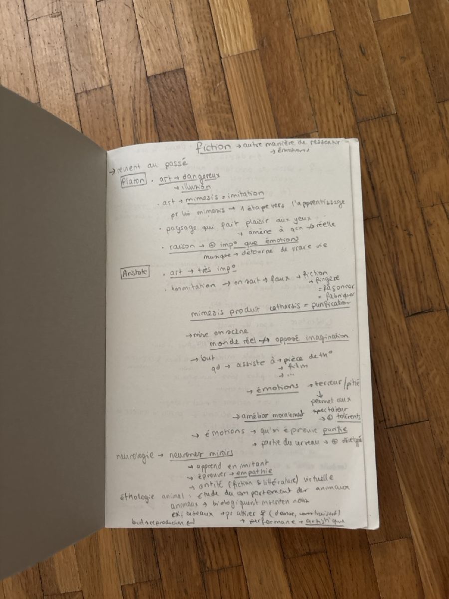 Bücher: L'Expérience Esthétique Jean-Marie Schaeffer Book – Gebraucht aus Le Grand-Saconnex von mar_wby6 1