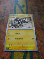 POKEMON  Blitzle   H SSP EN   062/191   HP70   2024