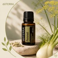 dōTERRA® Fennel (Fenchel) 15 ml – Ätherisches Öl