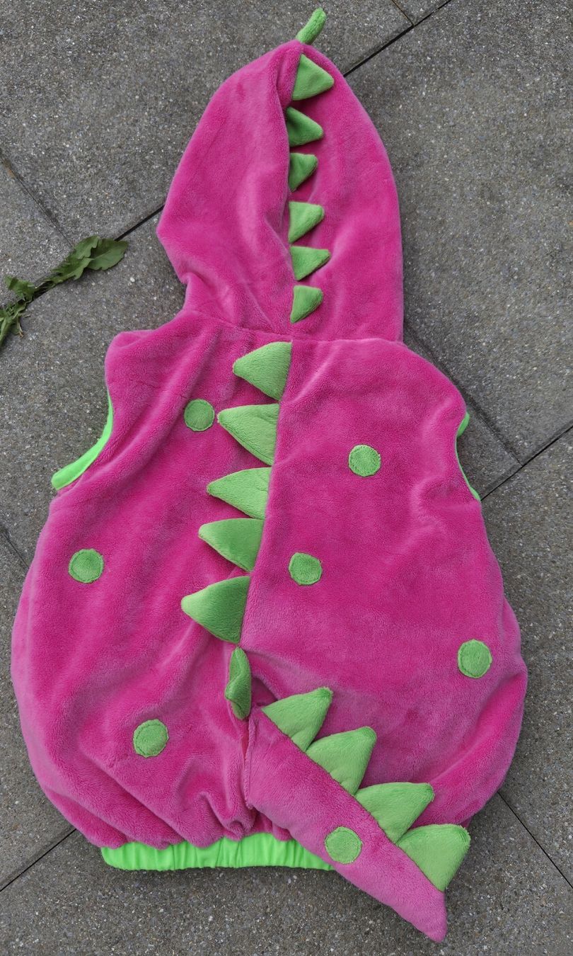 Costumi: Drachen-Kostüm Gr. 104 – Usato da Oberkirch LU venduto da Tatamara 1