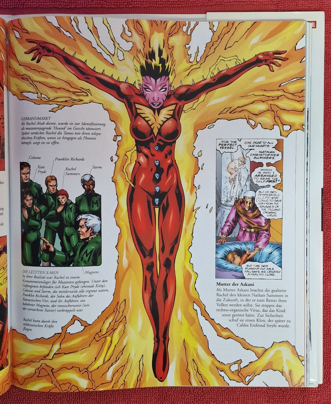 Libri: Ultimate X-Men Guide (Peter Sanderson) (2000) – Usato da Basel venduto da phi_8xhm 4