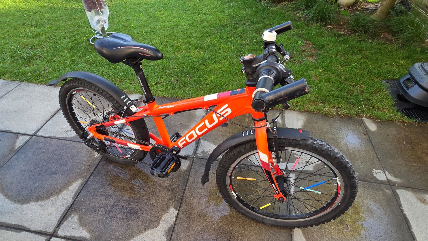 Focus Biciclette: Kinder-Velo 20", Marke FOCUS – Usato da Gossau SG venduto da Mr_raab 3