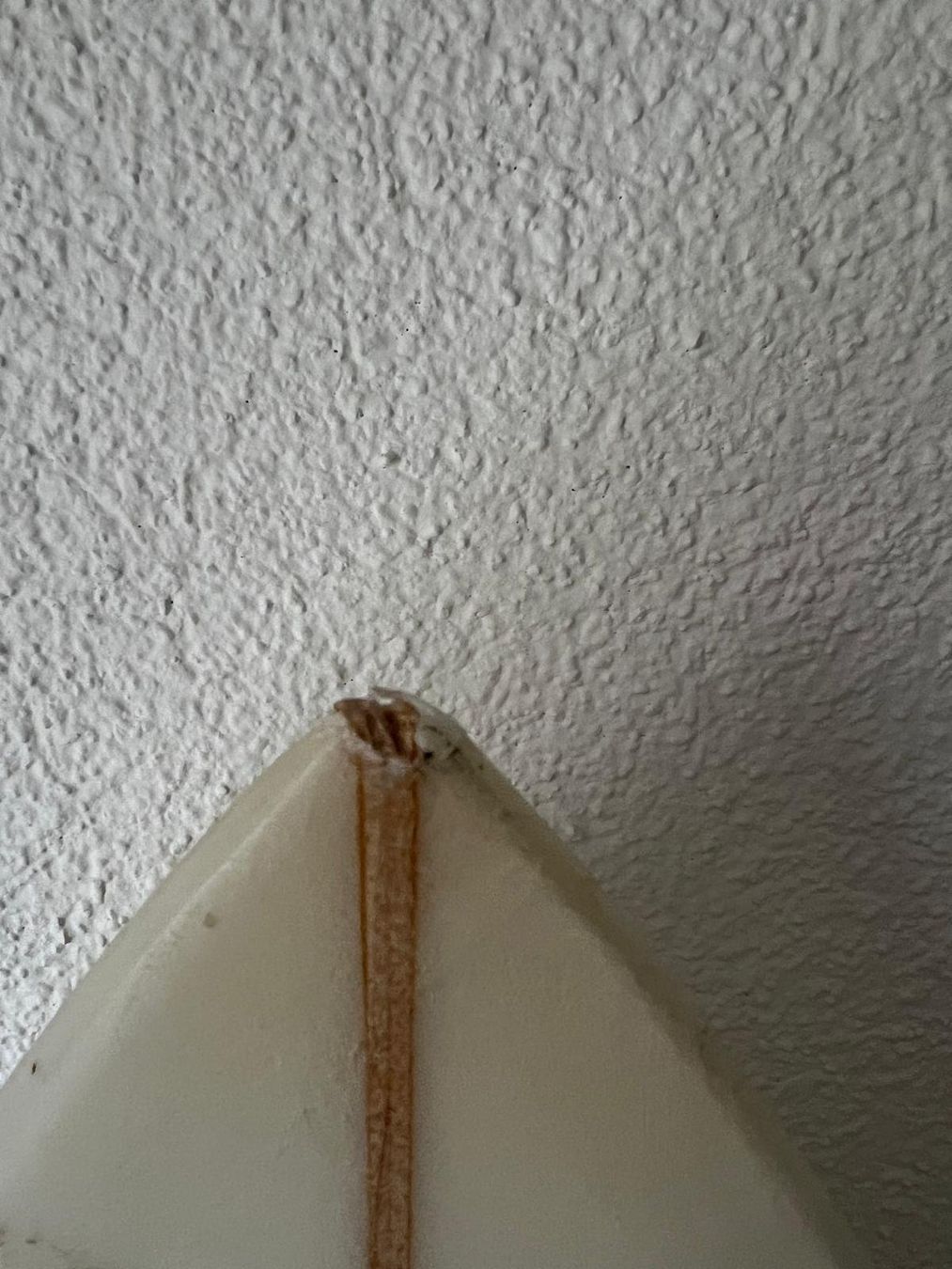 Surfboards & Schwimmbrette: DVG 5'7 Surfboard – Gebraucht aus Zürich von Taj137 4