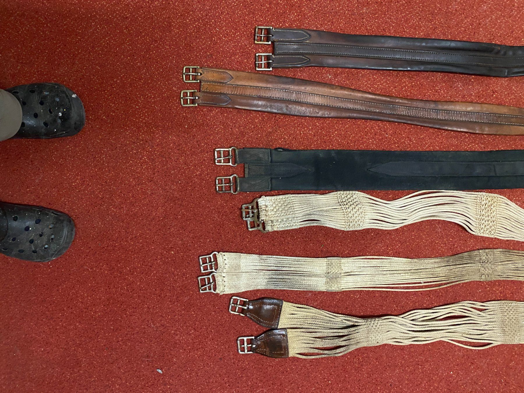 Selle & Accessori: Sattelgurten Sattel – Usato da Mogelsberg venduto da Gregor6132 2