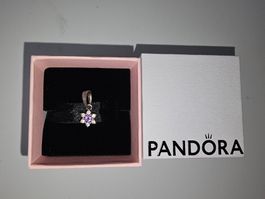 Pandora Charm Blume lila Stein gebraucht mit Box