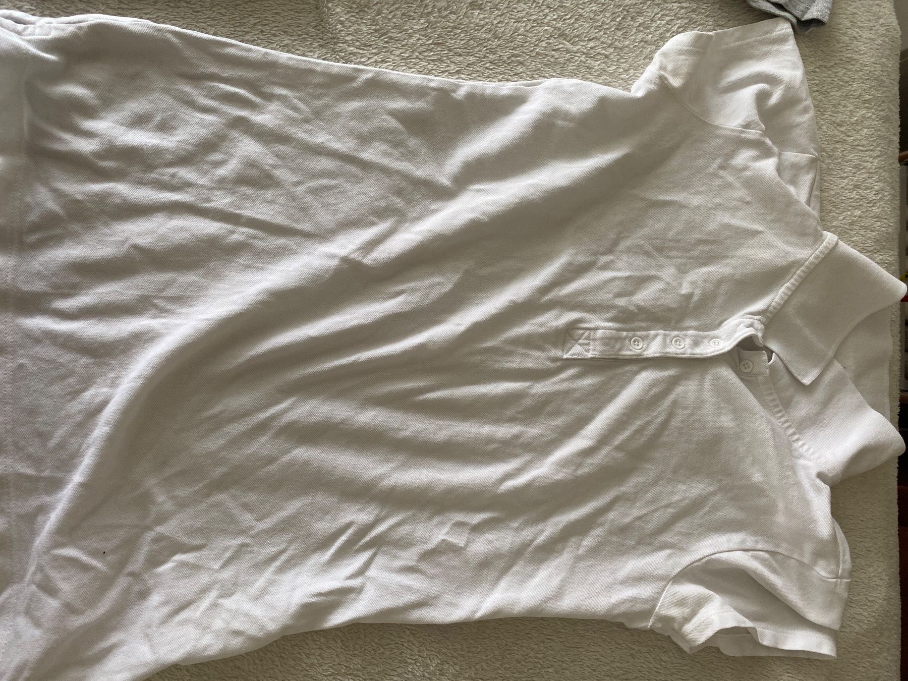 Magliette Polo: Poloshirt Set Gr xs – Usato da Selzach venduto da 02nunafizz 2