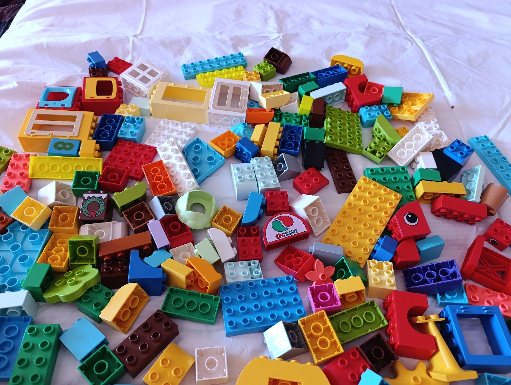 Lego Spielzeuge: 200 Lego Duplo Bausteine – Gebraucht aus Oberarth von sil_9dfs 6