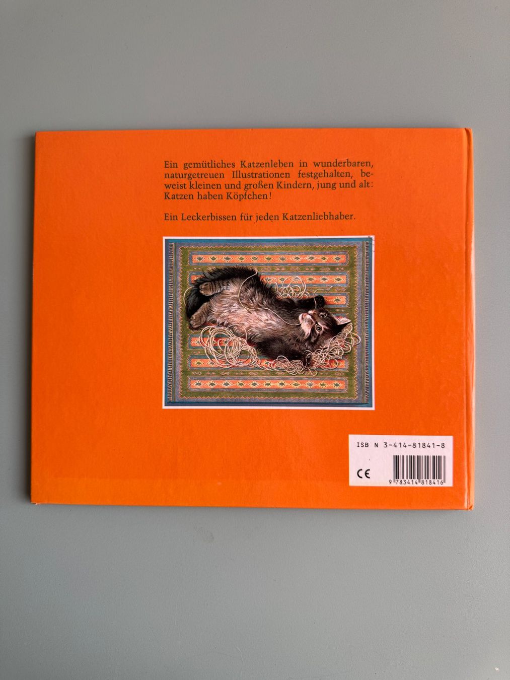 Libri: Katzen haben Köpfchen schönes Kinderbuch – Usato da Kägiswil venduto da Jindujune 1
