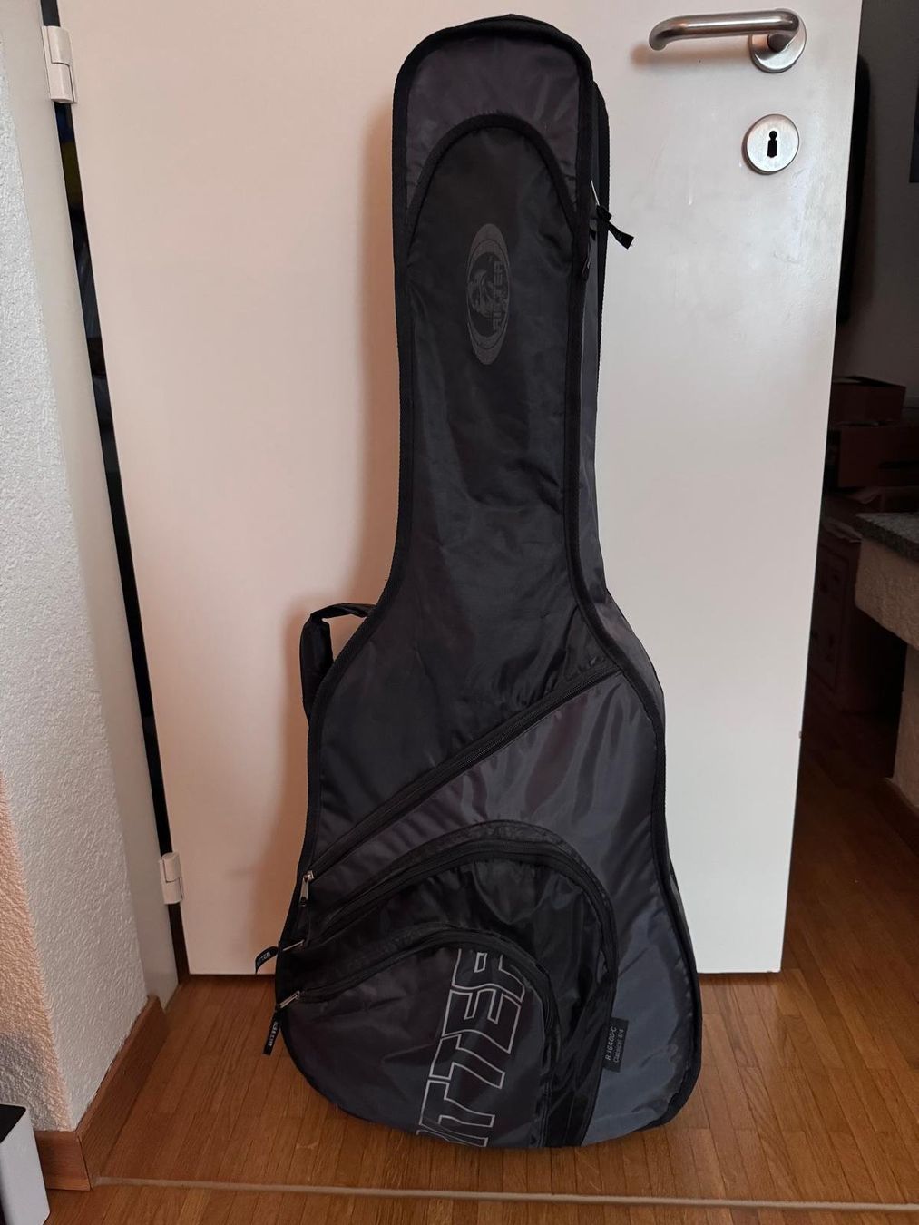 Strumenti musicali: Gitarre La Patrie Presentation – Usato da Watt venduto da val_ry98 2