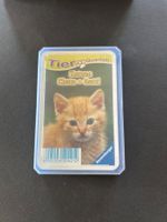 Quartett Katzen Ravensburger