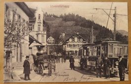 Heerbrugg Reproduktion