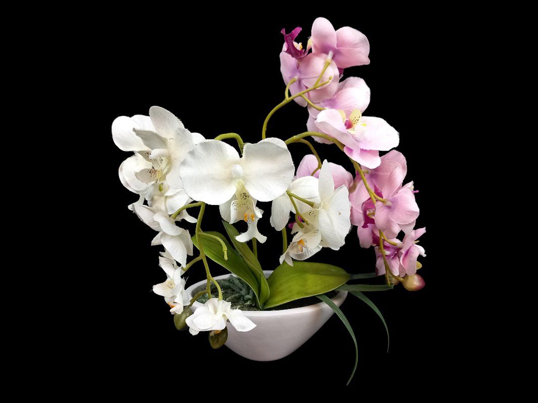 Tutte le decorazioni: Kunstpflanze Orchidee – Usato da Hünenberg venduto da Restwert_Zug 1