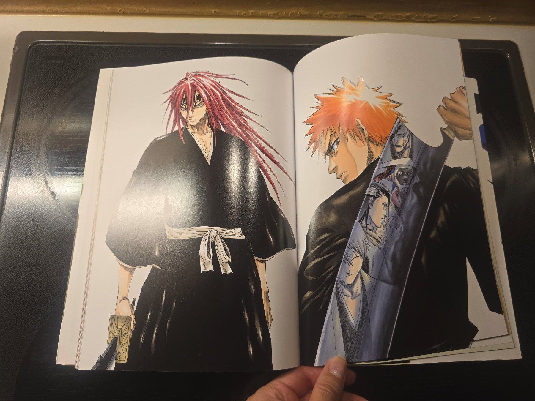Comics: Bleach Artbook – Gebraucht aus Schaffhausen von K.Ichimaru 2