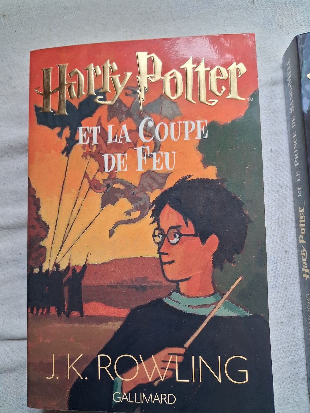 Libri: 3 HARRY POTTER de J.K.Rowling – Usato da Lausanne venduto da Jdelta 2