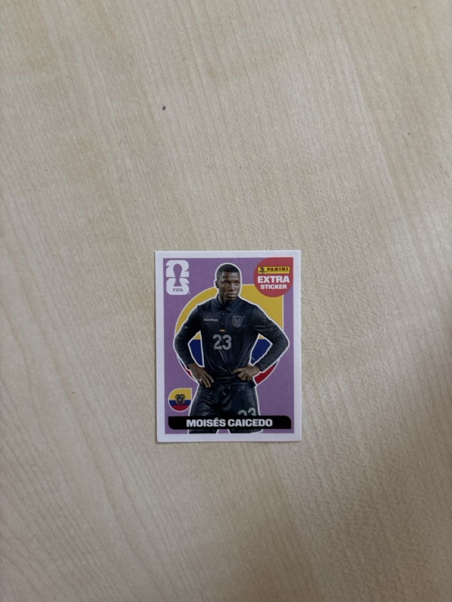 Panini Carte collezionabili: Panini FIFA World Cup 2026 Extra Sticker Caicedo – Nuovo (secondo la descrizione) da Benken SG venduto da aar_grw8