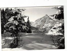 Amden Ansichtskarte Berge Natur Arvenbühl Mürtschenstock