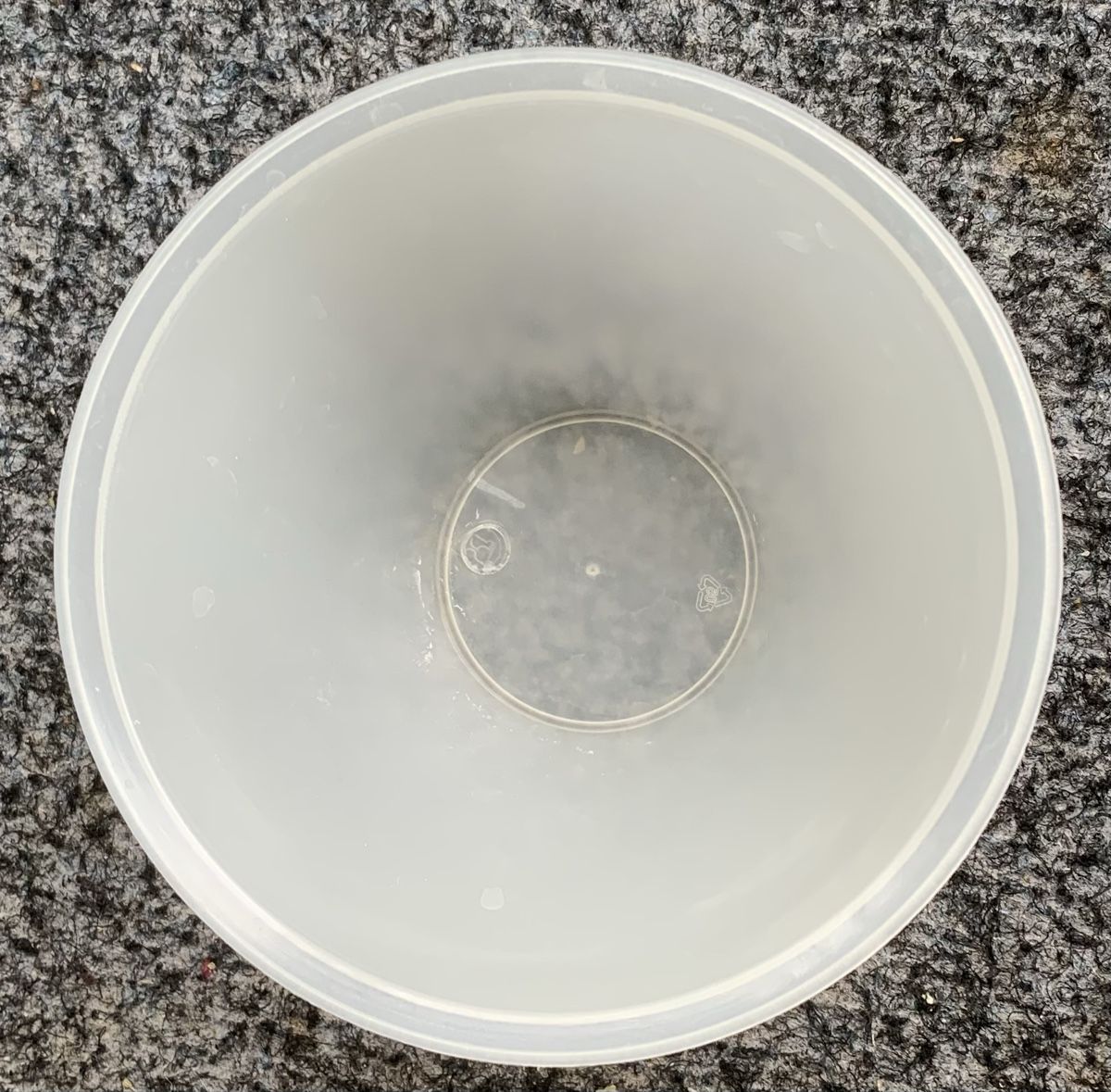 Schalen: Partys Schüssel mit Deckel Durchmesser 15 cm – Neu (gemäss Beschreibung) aus Zürich von bopeja
