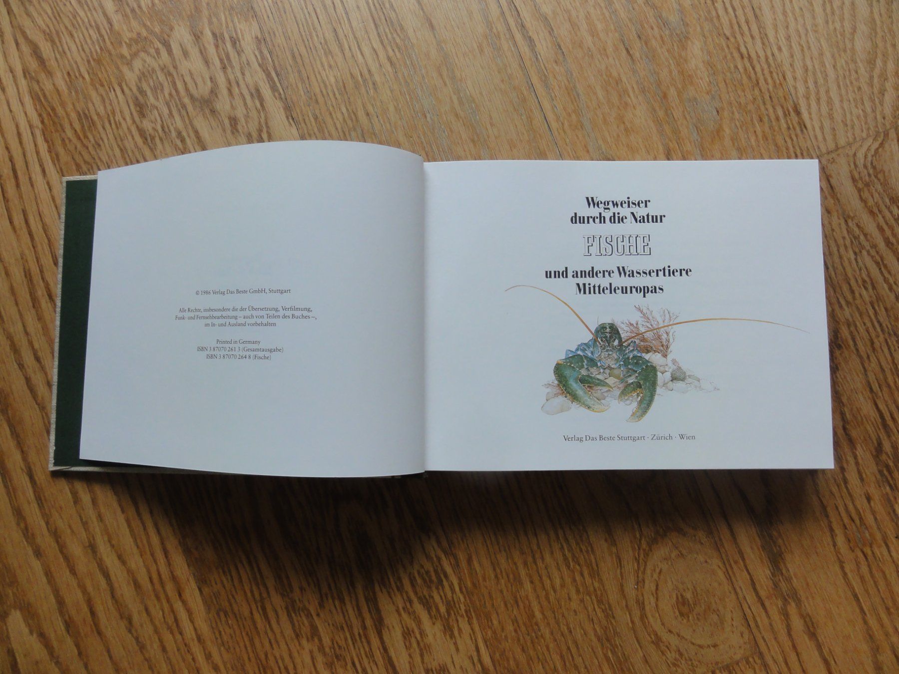 Libri: Fische und andere Wassertiere Mitteleuropas – Usato da Riedholz venduto da Taweva 2