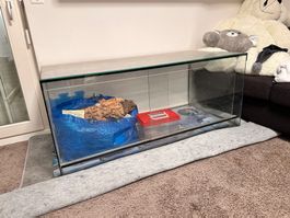 Terrarium / Nagerkäfig