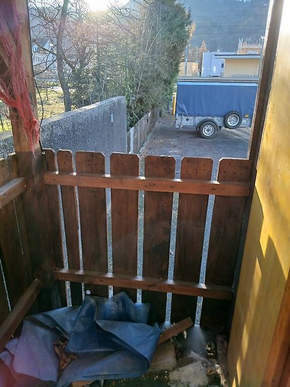 Anhänger: Fasnachts Wagen  – Gebraucht aus Sevelen von serfinis64 4