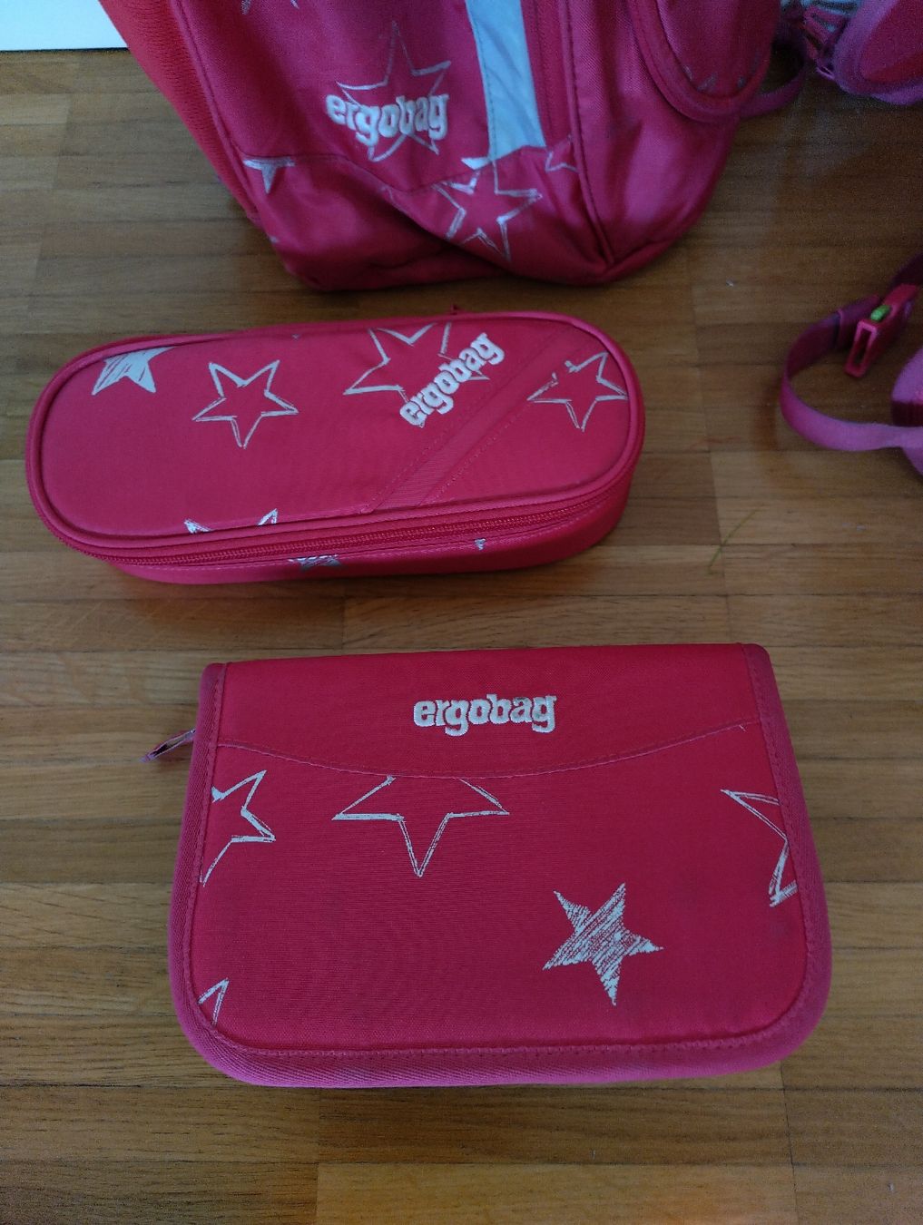 Ergobag Borse & Zaini: ergobag Schulsack Kinder – Usato da Endingen venduto da Brain84 2