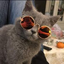 Profile image of matatoo
