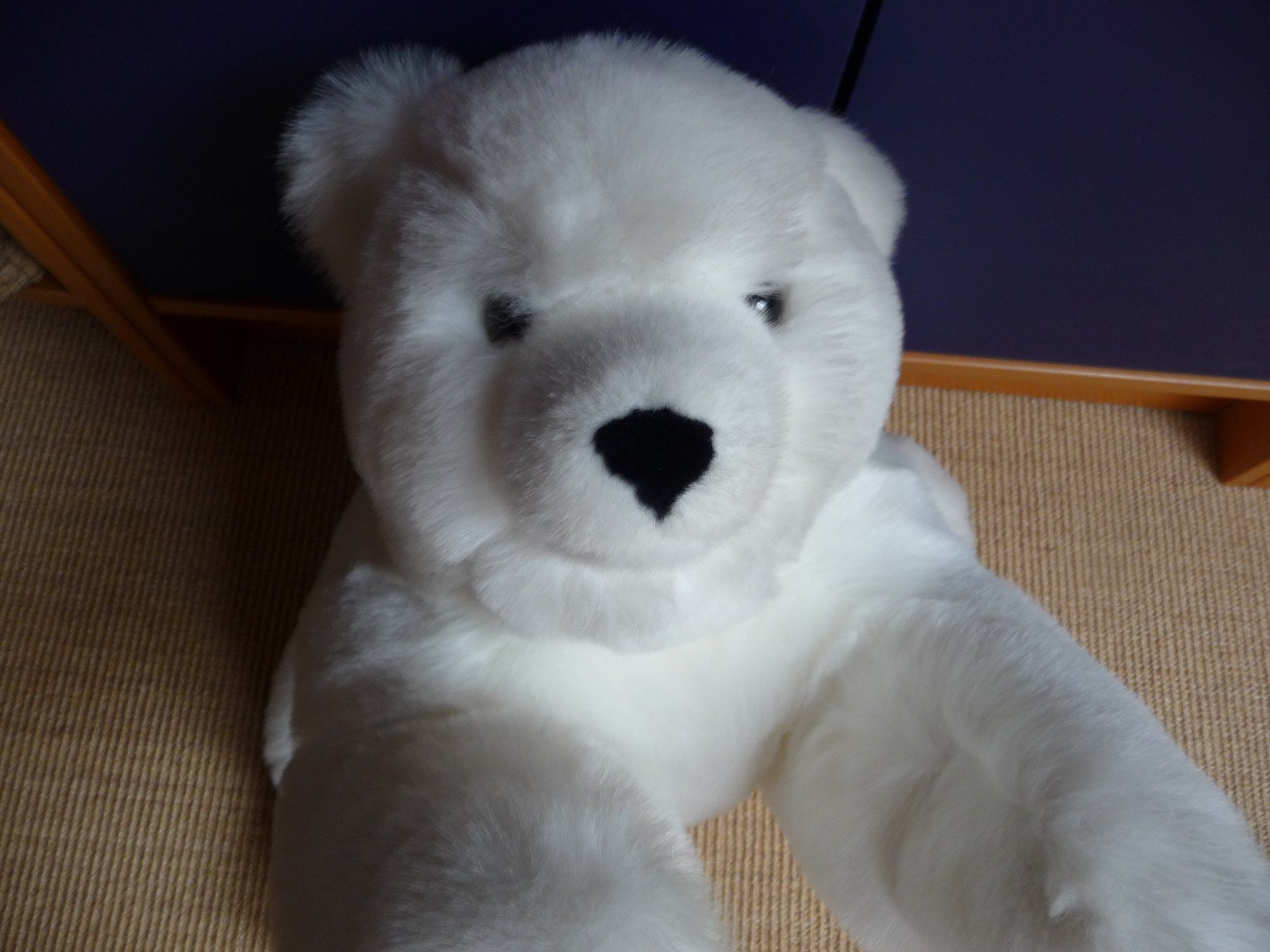 Spielzeuge: Grosser Eisbär und Teddybär, beides neu – Neu (gemäss Beschreibung) aus Kirchberg BE von lavendel02 4